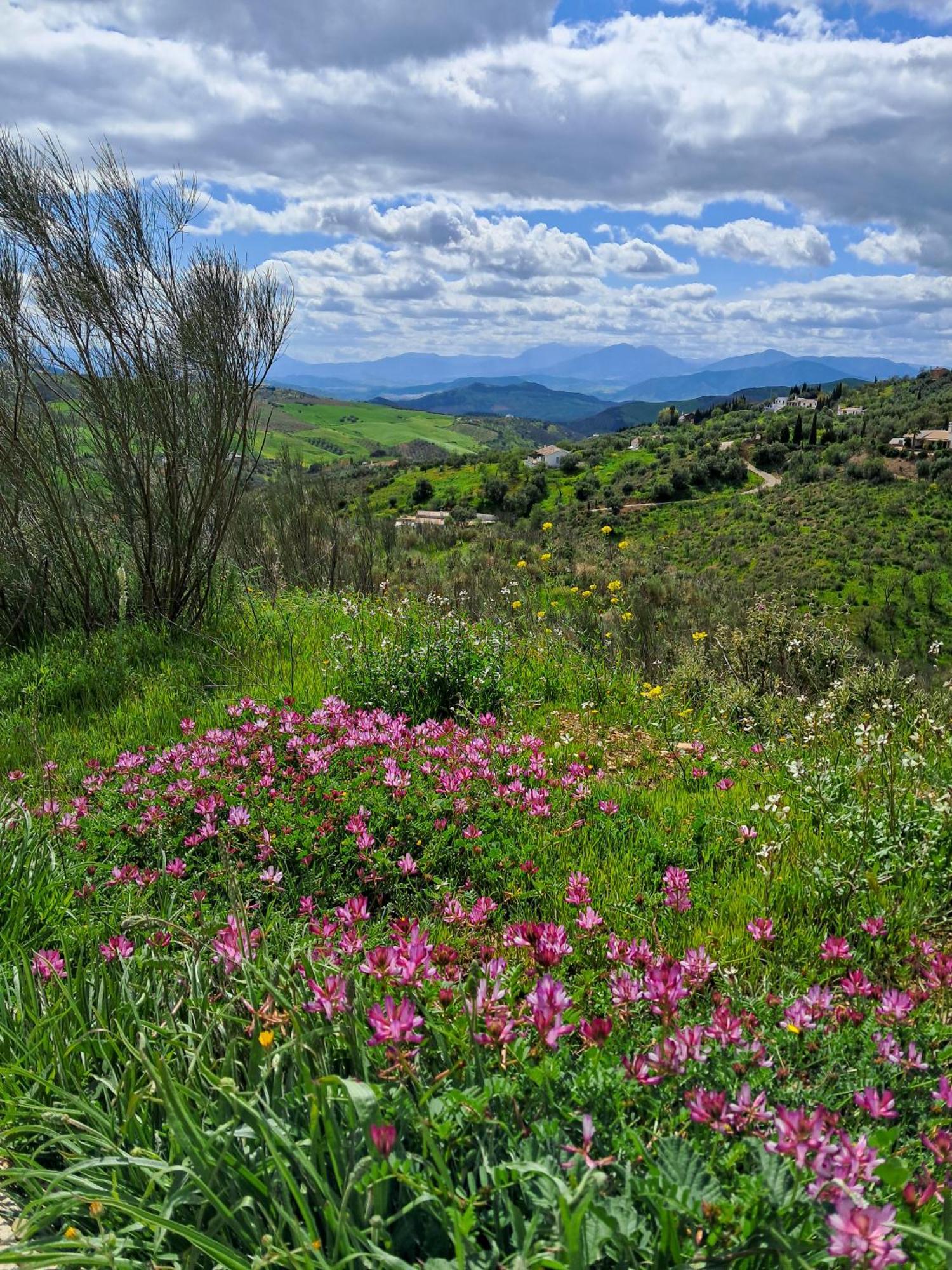 Finca Amorosa Вільянуева-де-ла-Консепсьйон Екстер'єр фото